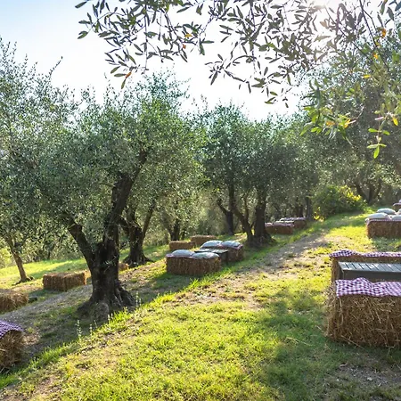 Podere Maison Delices